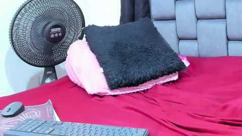 Media: A video of a neatly made bed with a red sheet, a black pillow, and a pink blanket. A black fan and a computer keyboard are visible in the foreground.