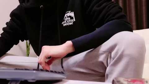 Media: Video of a person in a black hoodie with white text, light grey sweatpants, typing on a keyboard. Background shows a beige couch and dark curtains.