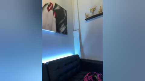 Media: Video of a modern, dimly-lit room with a black leather sofa, a pink and black-patterned blanket, and a black-and-white portrait on the wall.