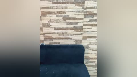 Media: Video of a modern living room featuring a dark blue velvet couch against a wall adorned with a textured stone accent panel in shades of gray, beige, and white. The background is a plain off-white wall.