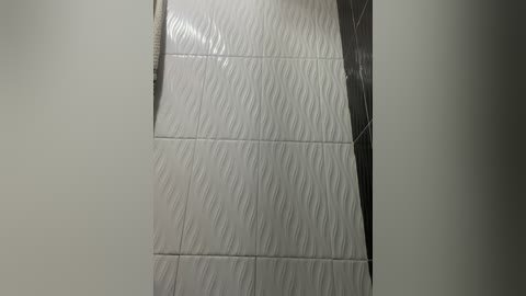 Media: Video of a tiled wall with a textured, white, diagonal pattern, bordered by a dark, glossy tile on the right. The tiles are clean and uniformly spaced, with a smooth, matte finish. The background is a plain, light gray wall.