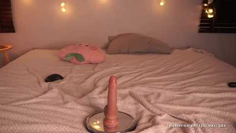 Media: A video of a bed with a plush pink bear and a realistic dildo on a mirror, surrounded by fairy lights in a dimly lit room.