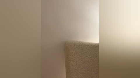 Media: Video of a beige carpeted corner in a minimalist room with soft, diffused light creating a subtle shadow, emphasizing the textured carpet and smooth wall.