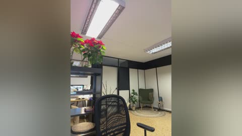 Media: A video of a modern office with a black mesh chair, zebra-patterned chair, green armchair, floral arrangement, black-and-white partition, fluorescent light, and beige carpet.