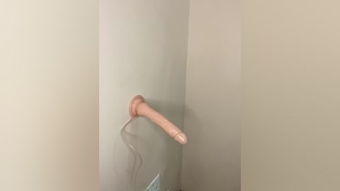 Media: A video of a beige dildo mounted on a gray wall with a cord dangling, set against a neutral background.