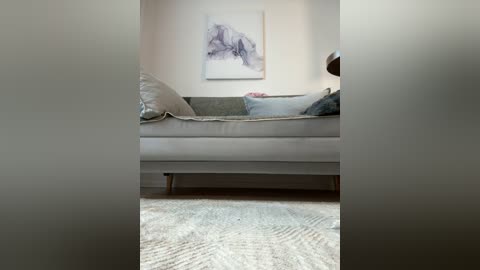 Media: Video of a modern, minimalist living room with a light gray sofa, textured gray throw pillows, and a beige, textured rug. A framed abstract painting hangs on a plain white wall.