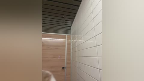 Media: Video of a modern bathroom with white subway tiles, a wooden door, and a black metal ceiling grid. The scene is well-lit with a minimalist, clean aesthetic.