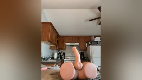 Media: Video of a nude man with an erect penis, standing in a modern kitchen with wooden cabinets, white appliances, and a ceiling fan.