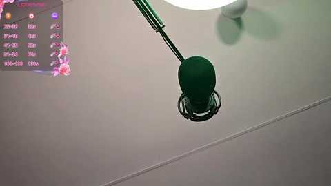 Media: Video of a green microphone suspended by a green pole in a white room. A digital clock and weather display are visible on the left wall.