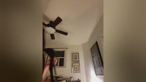 Media: Video of a dimly lit bedroom with a ceiling fan, blurred person in motion, white walls, framed art, and a window with a view of a tree.