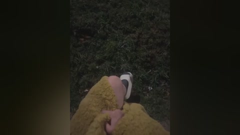 Media: A video shows a person's hand holding a yellow plush toy, standing on lush green grass with a white sneaker partially visible. The image is dimly lit, creating a moody, slightly blurred atmosphere.