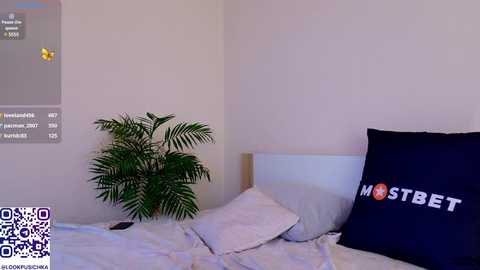 Media: A video of a minimalist bedroom with a white wall, a potted plant, a bed with white sheets, and a dark blue pillow with \"MOSTBET\" logo.