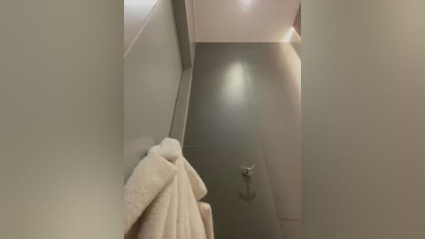 Media: Video of a narrow, dimly lit bathroom hallway with a beige towel hanging on a metal hook on the left wall, leading to a bright, open area with a clean, modern design.