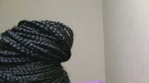 Media: A close-up video of a tightly wound, dark, textured rope against a plain, off-white wall, with the rope's coiled end on the left and the wall on the right.