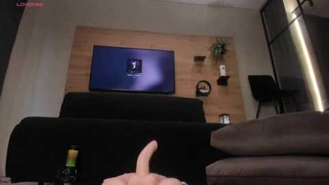 Video of a modern living room with a flat-screen TV displaying a dark screen. A person's hand holds a realistic, erect pink dildo in front of a black sofa.