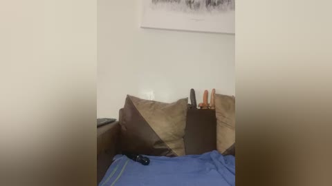 Media: A video of a bed with a blue comforter and brown pillows. A brown paper bag on the bed contains a knife and a pair of scissors. The room has a beige wall with a framed black-and-white video above.