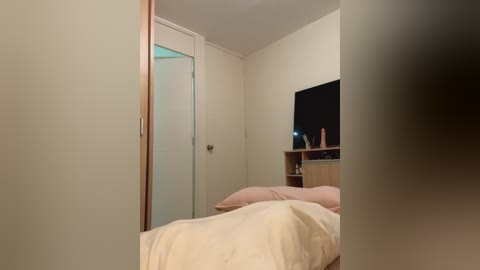 Media: Video of a minimalist bedroom with beige walls, a white door, a mirror, and a flat-screen TV mounted on the wall. The bed is made with light-colored sheets, and there's a wooden shelf with decorative items.