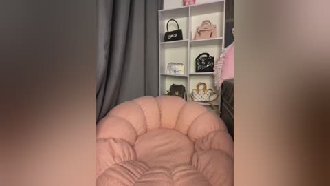 Media: Video of a plush, light pink, circular bean bag chair in the foreground, with a white, open-shelf bookcase in the background containing various handbags and accessories in muted colors.