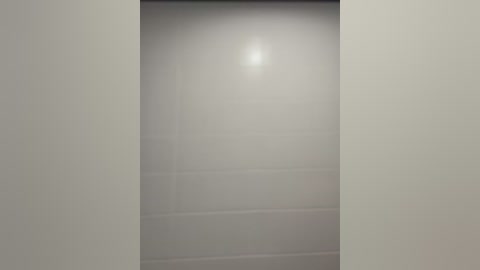 Media: A video of a narrow, empty hallway with smooth, light grey walls and a single, bright spotlight in the center, casting a soft glow. The lighting creates a minimalist, sterile atmosphere.