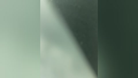 Media: Video of a misty, ethereal scene with a soft, gradient blend of green and grey hues, creating a serene, almost abstract atmosphere. The image lacks distinct objects or figures, emphasizing a sense of calm and mystery.