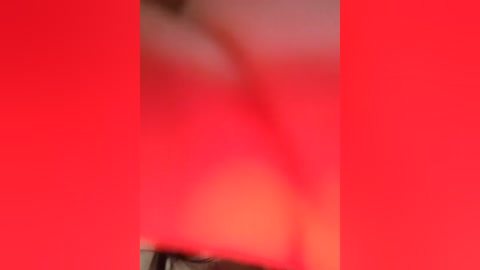 Media: A blurred video with a vivid red background and a partial, indistinct figure in the foreground. The image lacks clarity, making specific details difficult to discern.