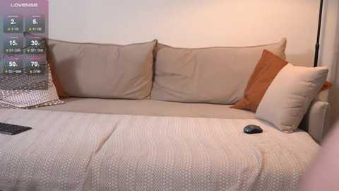 Media: Video of a minimalist bedroom with a beige sectional sofa, two beige pillows, a beige and white patterned blanket, and a black remote on a cream-colored bedspread.