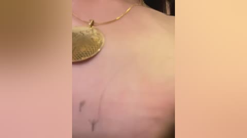 Media: Video of a fair-skinned, topless woman with a small tattoo on her chest. She wears a gold necklace with a circular pendant. The background is blurred, focusing on her chest and neck.