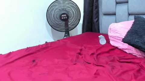 Media: A video of a messy bedroom with a red bedspread, a gray headboard, a black fan, and a pink pillow.