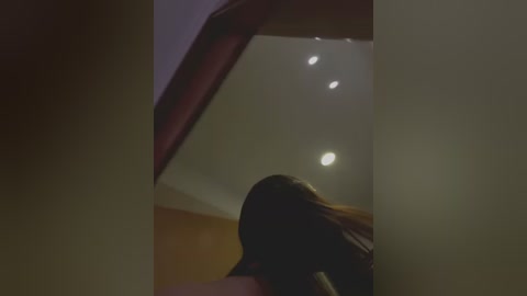 Media: A dimly lit video shows a young person with long hair, partially visible, in a shadowy room with recessed ceiling lights. The room's walls are a muted brown.