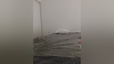 Media: A video of a dimly lit, empty bedroom with a gray quilted bedspread, a single white pillow, and plain white walls. The room's sparse and minimalist, giving a sense of solitude and simplicity.