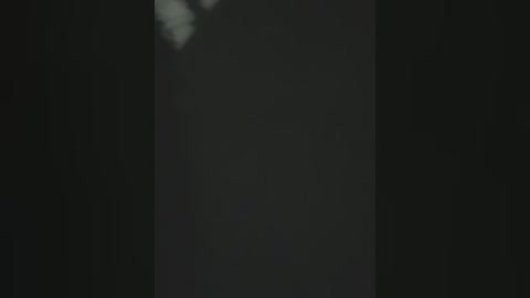 Media: A dimly lit, grainy video with a dark background, showing a faint, partially obscured figure standing in the center, possibly wearing a coat, and possibly holding an object.