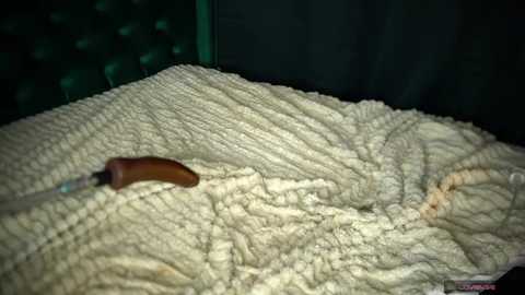 Media: Video of a cream-colored, textured blanket on a bed, with a wooden-handled knife sticking into it. The background is dark, possibly indicating an indoor setting.