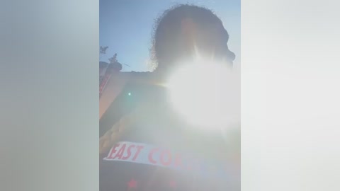 Media: A video of a blurry, silhouetted person with curly hair, holding a red and white \"FAST FOOD\" sign, standing outdoors in bright sunlight, creating a lens flare effect.