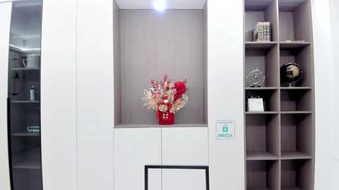 Media: Video of a modern, minimalist room with a recessed wall shelf displaying a red vase of dried flowers and a globe. The background features a white wall and built-in cabinets.