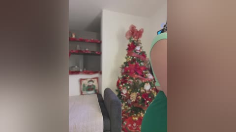 Video of a festive room with a decorated Christmas tree, framed portrait, and shelves adorned with red ribbons.