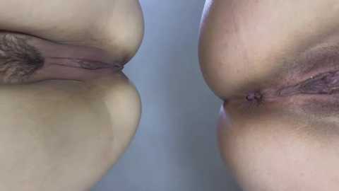 Media: A close-up, side-by-side video of two vulvas, one with light skin and pubic hair, the other with dark skin and no visible hair.