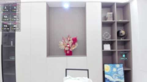 Media: Video of a minimalist, modern bedroom with a white built-in shelving unit, featuring a red vase of dried flowers, a globe, and a clock.