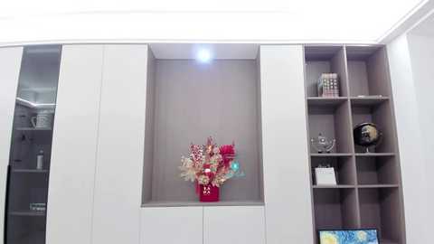 Media: Video of a modern, minimalist living room with white built-in cabinets featuring a recessed shelving unit. The shelves hold decorative items, a globe, and a vase of dried flowers. The background is a light gray wall with a recessed light fixture above the center.