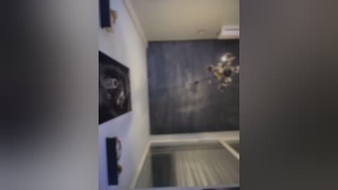 Media: Video of a narrow hallway with white walls and a dark, abstract painting on the right. A black-framed photo hangs on the left, and a chandelier with gold tones is visible in the background.