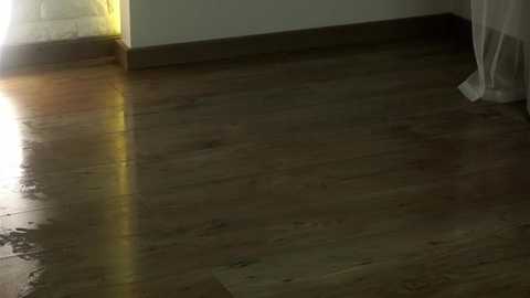 Media: A video of a bare wooden floor with a polished finish, partially illuminated by sunlight filtering through a sheer curtain on the left. The floor appears smooth with a rich, warm tone.