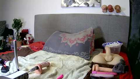 Media: A video of a messy bedroom with a gray upholstered headboard, a floral pillow, and various sex toys and items scattered on the bed and floor.