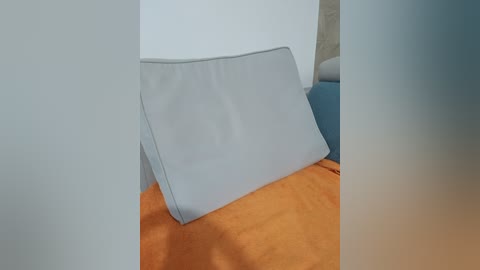 Media: Video of a light blue cushion resting on a vibrant orange blanket, partially obscured by sheer white curtains, in a minimalist, softly lit room.