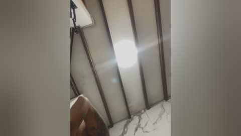 Media: Video of a modern, angular skylight with a sleek, metallic frame and white glass panes. The skylight is partially obscured by a hand holding a camera, capturing a bright, sunlit view through the glass.