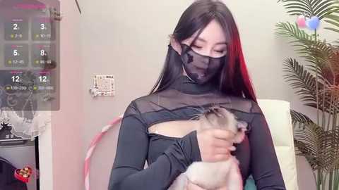 Media: Video of a young Asian woman with long black hair, wearing a black face mask and sheer top, cradling a small chihuahua in a modern room with a calendar, plant, and pink hula hoop.