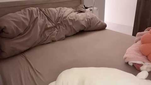 Media: Video of a messy bed with beige sheets, a rumpled brown comforter, and a pink plush toy near a pillow. The room has a minimalistic, clean white wall and a small, dark wooden nightstand in the background.