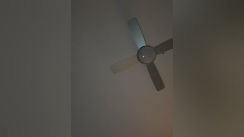 Media: Video of a modern ceiling fan with four blades, centered against a dark, foggy background. The fan is metallic with a sleek design, and the blades are white with a slight sheen. The overall lighting is dim and atmospheric.