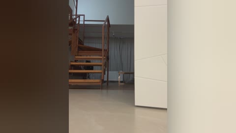 Media: Video of a modern, minimalist home interior featuring a wooden spiral staircase, white doors, and light-colored walls.