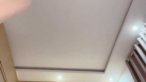 Media: Video of a modern ceiling with recessed lights, a flat white surface, and a narrow rectangular inset. The image focuses on the ceiling's clean lines and minimalistic design.