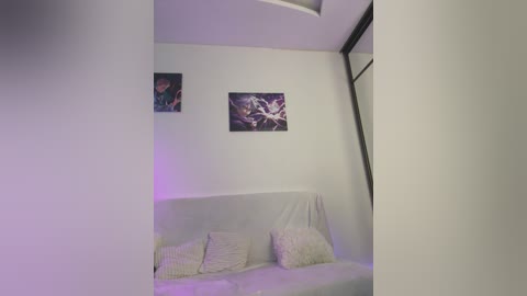 Media: Video of a minimalist, modern room with white walls and a white couch covered with a white blanket, adorned with two pillows. Two framed abstract art pieces hang on the wall, one above the other.