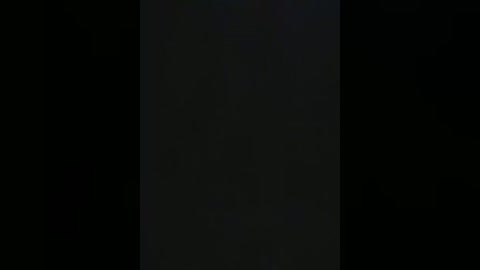 Media: A dim, grainy video of a vertical black rectangle in a pitch-black background, suggesting a simple, minimalist composition with minimal visual detail.